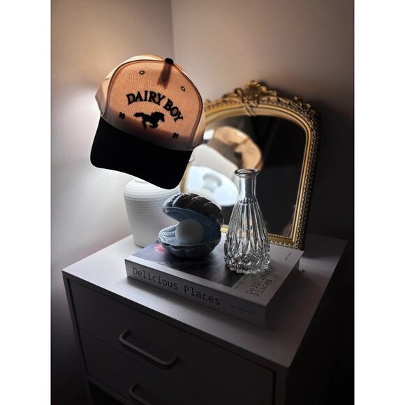 Dairy Boy East Coast Trucker Hat in Black One Size New Womens Snap Back - Picture 12 of 12